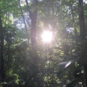 Meet your Posher, Itsjillian